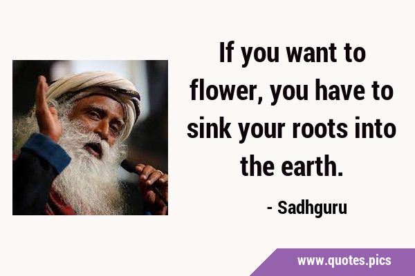 If you want to flower, you have to sink your roots into the …
