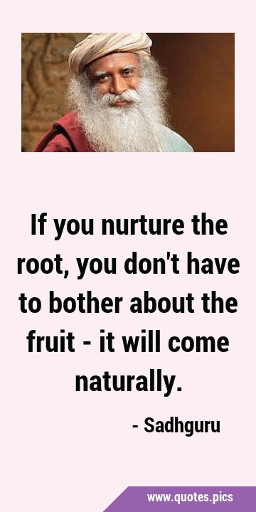 If you nurture the root, you don