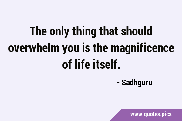 The only thing that should overwhelm you is the magnificence of life …