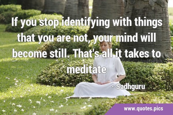 If you stop identifying with things that you are not, your mind will become still. That