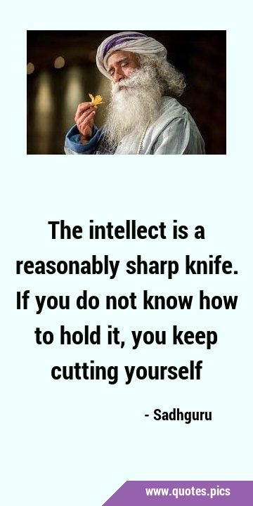 The intellect is a reasonably sharp knife. If you do not know how to hold it, you keep cutting …