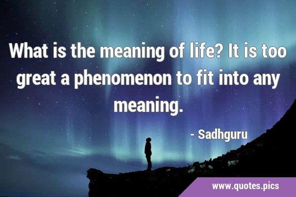 What is the meaning of life? It is too great a phenomenon to fit into any …