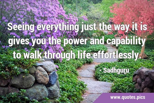 Seeing everything just the way it is gives you the power and capability to walk through life …
