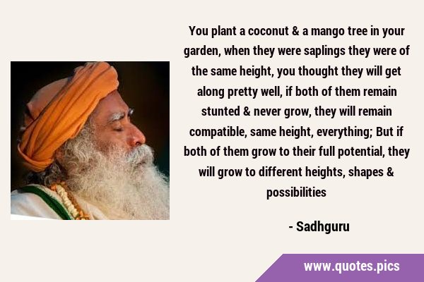 You plant a coconut & a mango tree in your garden, when they were saplings they were of the same …