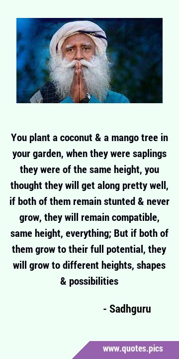 You plant a coconut & a mango tree in your garden, when they were saplings they were of the same …