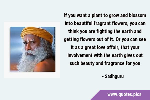 If you want a plant to grow and blossom into beautiful fragrant flowers, you can think you are …