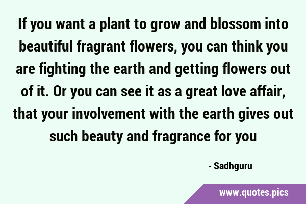 If you want a plant to grow and blossom into beautiful fragrant flowers, you can think you are …