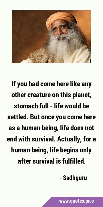 If you had come here like any other creature on this planet, stomach full - life would be settled. …
