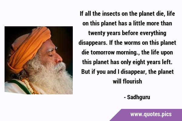 If all the insects on the planet die, life on this planet has a little more than twenty years …