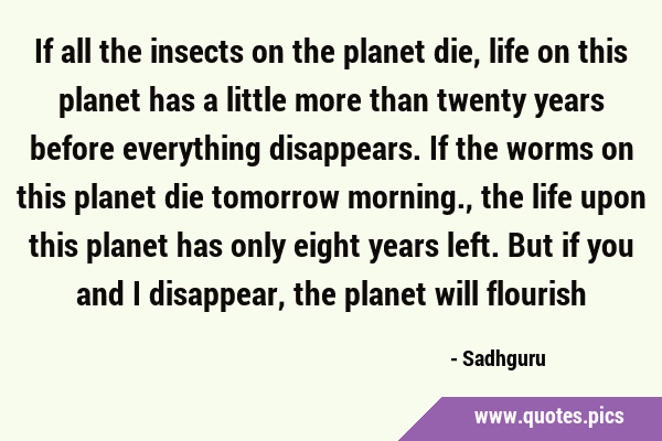 If all the insects on the planet die, life on this planet has a little more than twenty years …