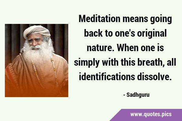 Meditation means going back to one