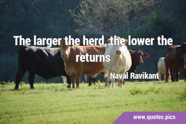 The larger the herd, the lower the …