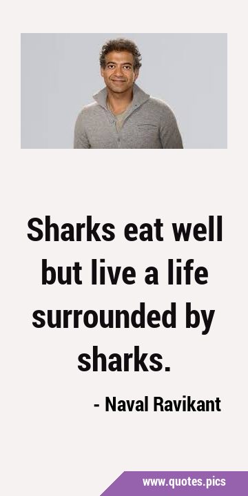 Sharks eat well but live a life surrounded by …