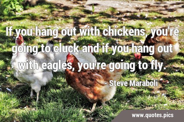 If you hang out with chickens, you