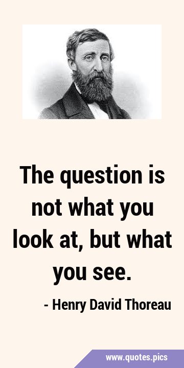 The question is not what you look at, but what you …