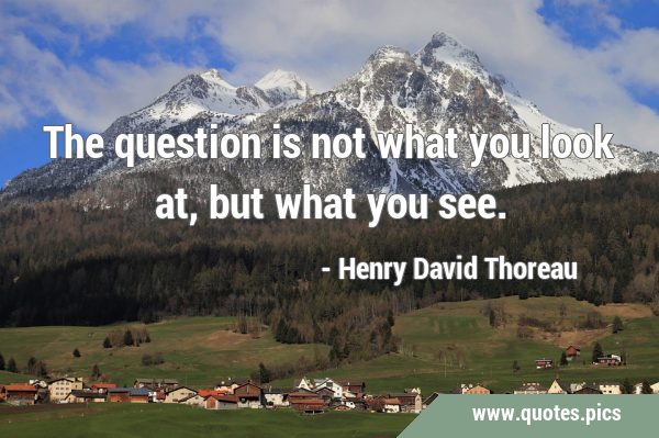 The question is not what you look at, but what you …
