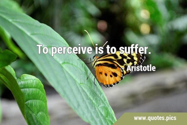 To perceive is to …