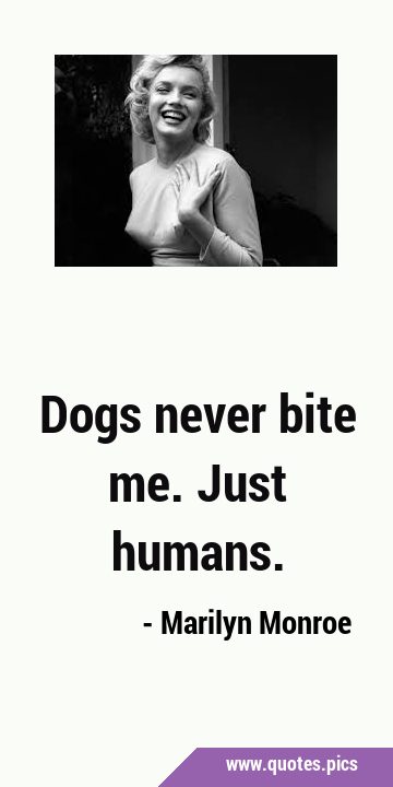 Dogs never bite me. Just …