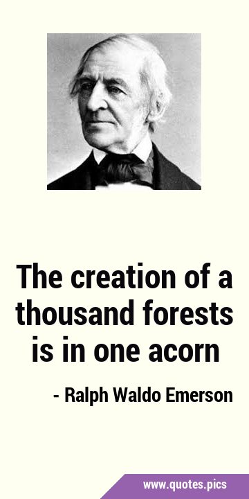 The creation of a thousand forests is in one …