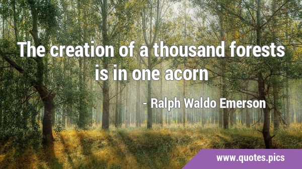 The creation of a thousand forests is in one …