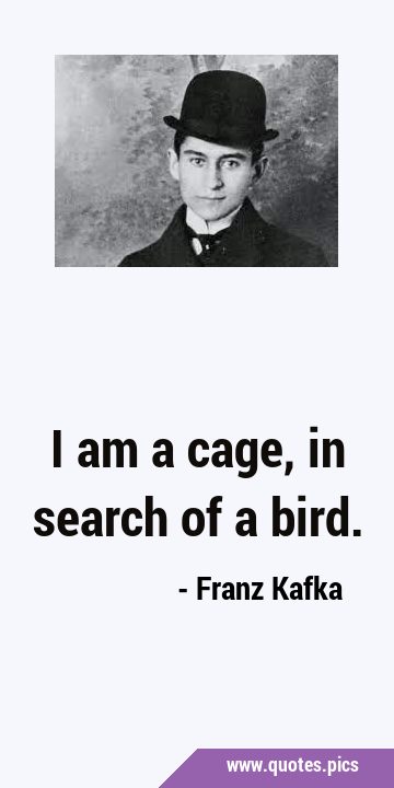 I am a cage, in search of a …