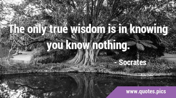 The only true wisdom is in knowing you know …