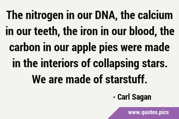 The nitrogen in our DNA, the calcium in our teeth, the iron in our blood, the carbon in our apple …