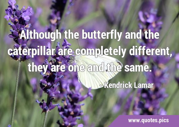 Although the butterfly and the caterpillar are completely different, they are one and the …