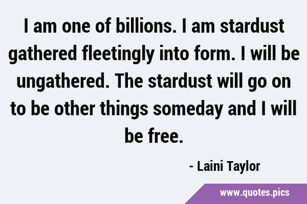 I am one of billions. I am stardust gathered fleetingly into form. I will be ungathered. The …