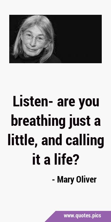 Listen- are you breathing just a little, and calling it a …