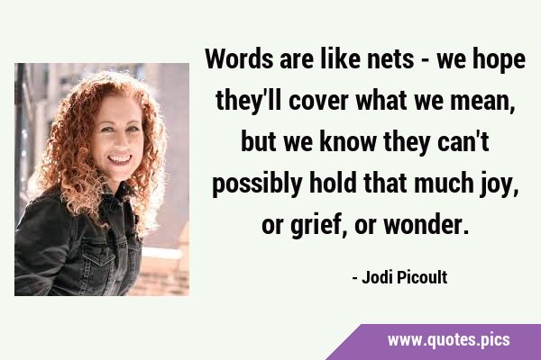Words are like nets - we hope they