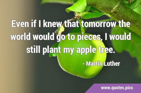 Even if I knew that tomorrow the world would go to pieces, I would still plant my apple …