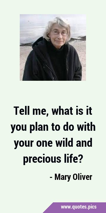 Tell me, what is it you plan to do with your one wild and precious …