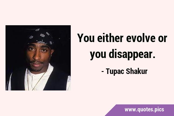 You either evolve or you …
