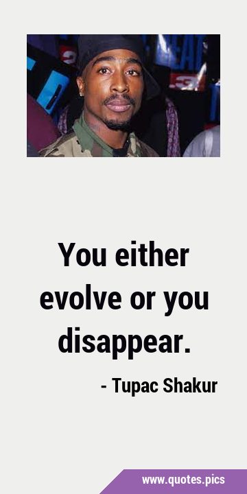You either evolve or you …
