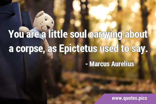 You are a little soul carrying about a corpse, as Epictetus used to …