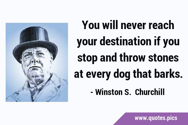 You will never reach your destination if you stop and throw stones at every dog that …