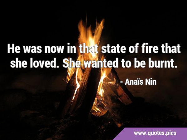 He was now in that state of fire that she loved. She wanted to be …