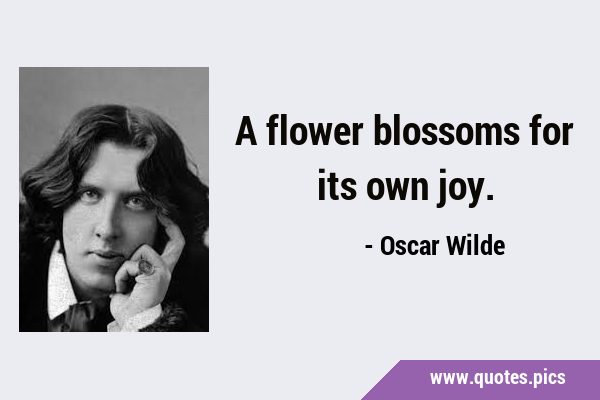 A flower blossoms for its own …