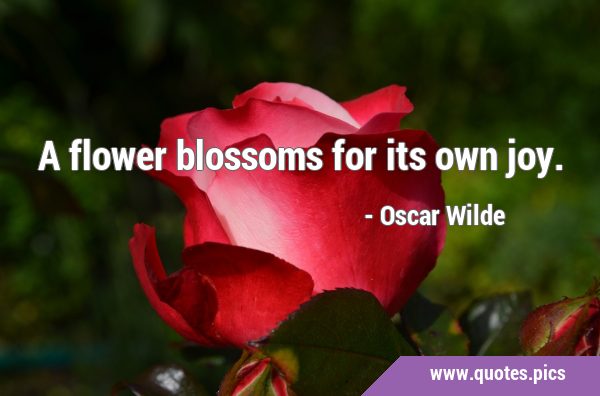 A flower blossoms for its own …