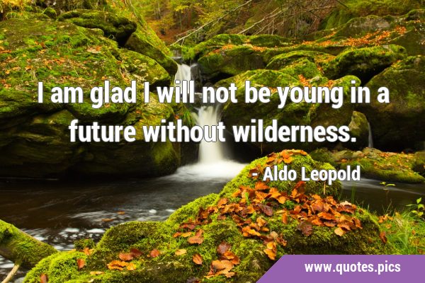 I am glad I will not be young in a future without …
