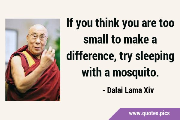 If you think you are too small to make a difference, try sleeping with a …