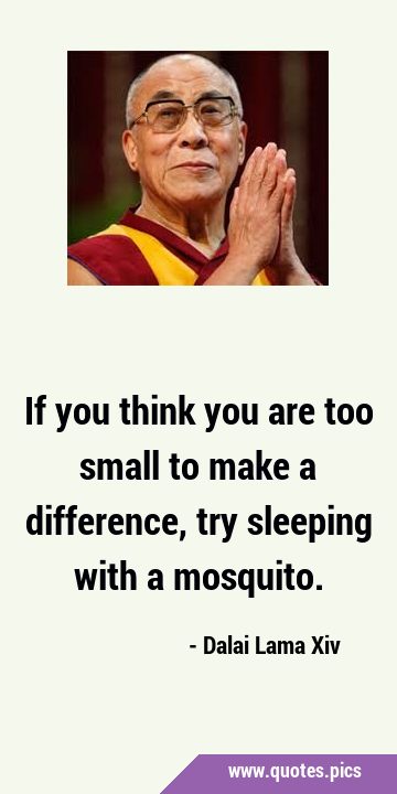 If you think you are too small to make a difference, try sleeping with a …