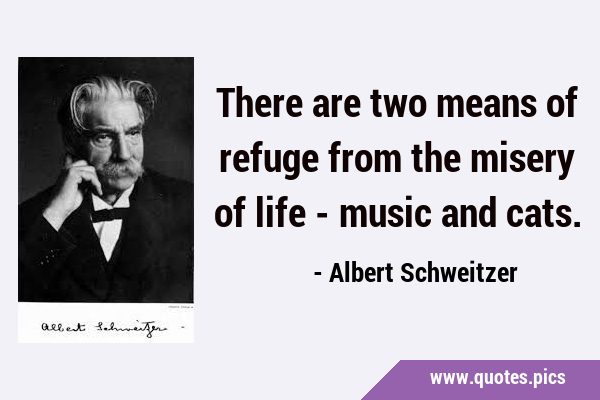There are two means of refuge from the misery of life - music and …