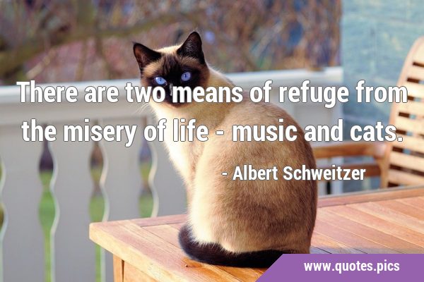 There are two means of refuge from the misery of life - music and …