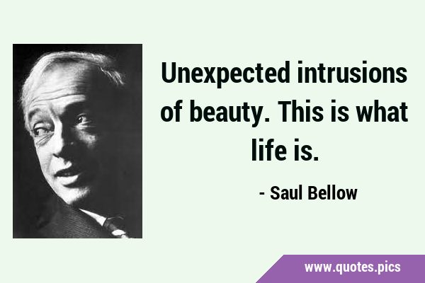 Unexpected intrusions of beauty. This is what life …