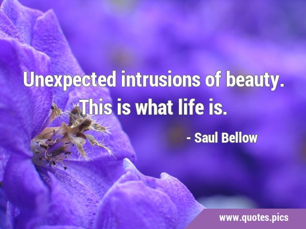 Unexpected intrusions of beauty. This is what life …