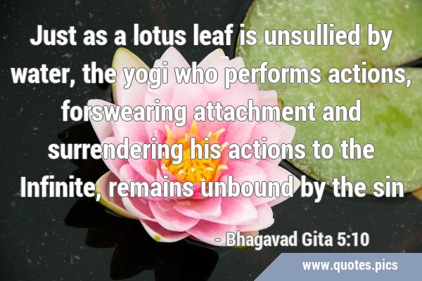 Just as a lotus leaf is unsullied by water, the yogi who performs actions, forswearing attachment …