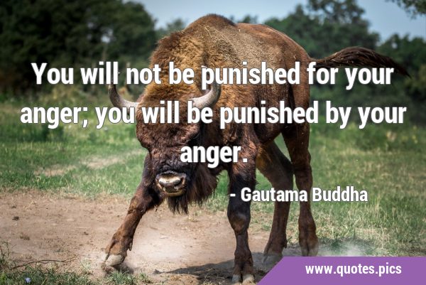 You will not be punished for your anger; you will be punished by your …