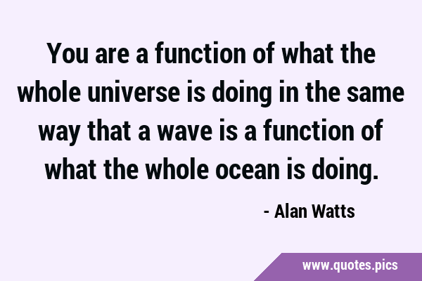 You are a function of what the whole universe is doing in the same way that a wave is a function of …